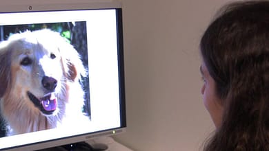 التعاطف تجاه الحيوانات الأليفة