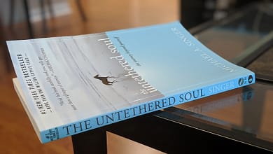 الروح المتحررة مايكل سينجر