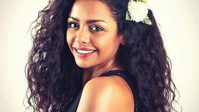 مملكة الحرير