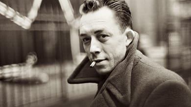 رواية السقطة