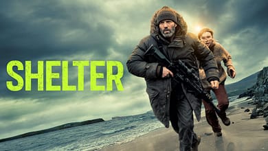 shelter 2026 بوستر